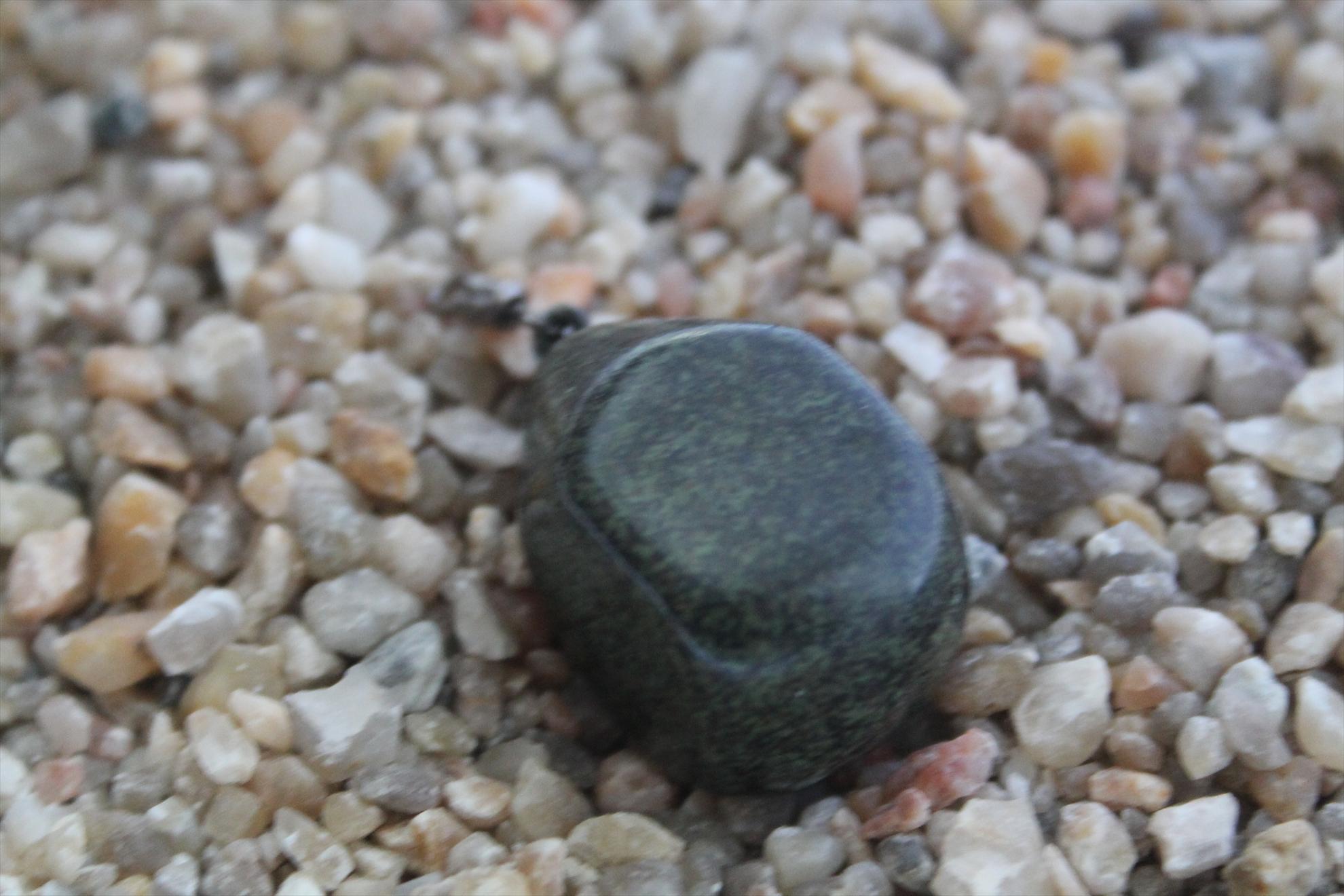 PLUMBI Carp Fishing Leads - plumbi-14711.JPG